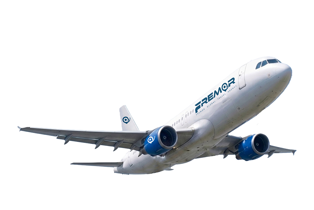FREMOR Airplane